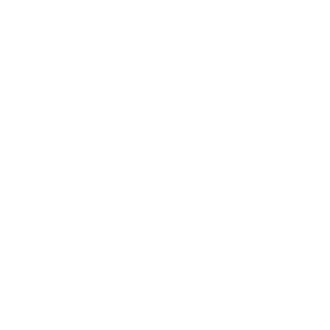 Garden Remedies Daisy - White